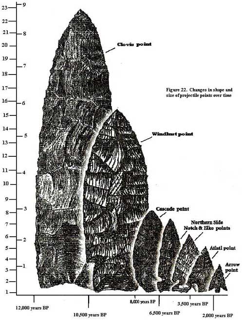 Identification of knapped flints and stone tools - Peterborough